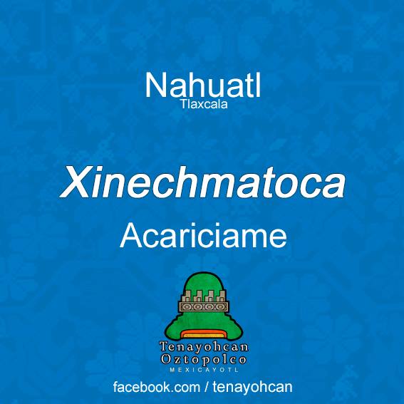 Acariciame en Nahuatl