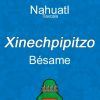¡Nimitztlazohtla!: Frases de amor en náhuatl para los enamorados