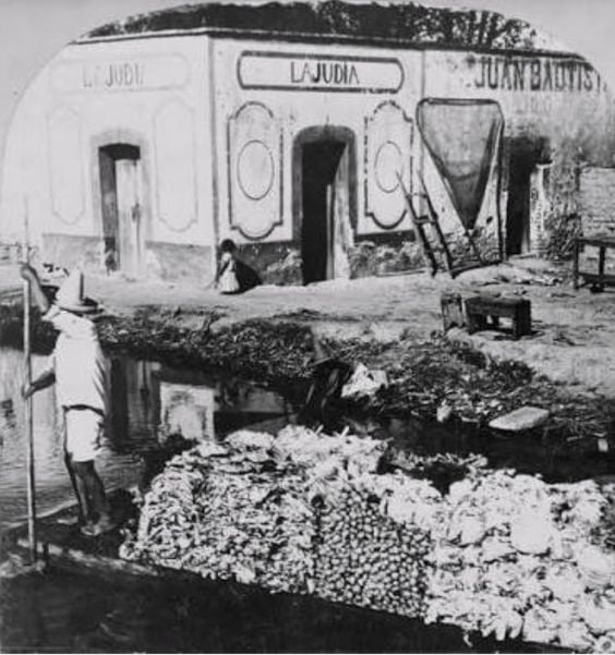 "La Judia" localizada sobre el Canal de la Viga en Iztacalco, fotografía de principios del siglo XX.