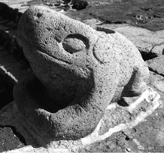 Rana-perteneciente-al-Altar-de-las-Ranas-Templo-Mayor-de-Tenochtitlan-fotografia-del
