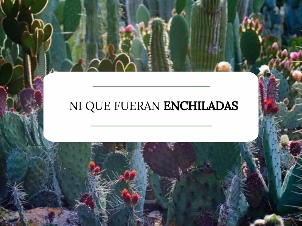frases mexicanas 11