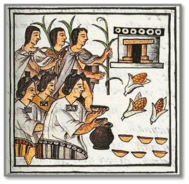 maiz codice antojitos mexicanos
