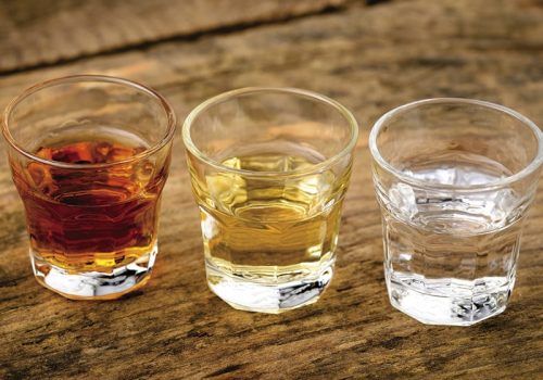 Tequila y Mezcal: 6 semejanzas y diferencias